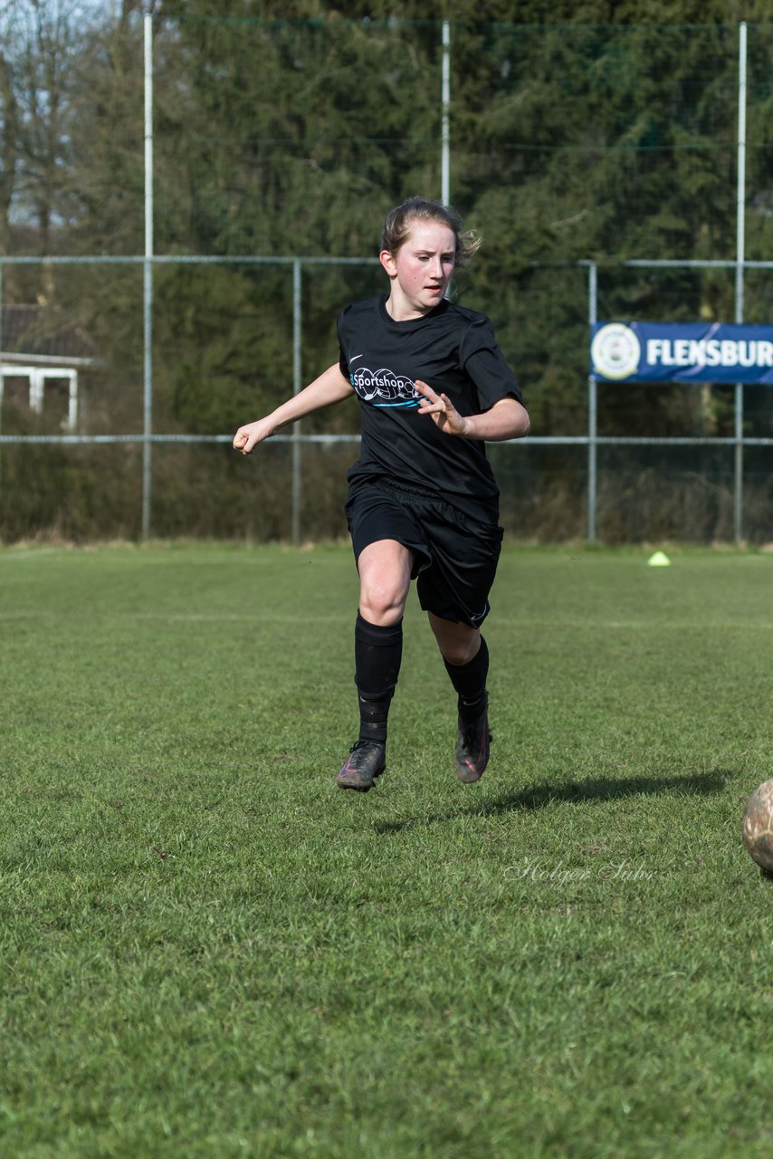 Bild 237 - C-Juniorinnen SV Steinhorst/Labenz - TSV Friedrichsberg-Busdorf : Ergebnis: 5:0